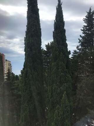 Гостиница Joy Apartments Сочи Апартаменты стандарт с 1 спальней-12
