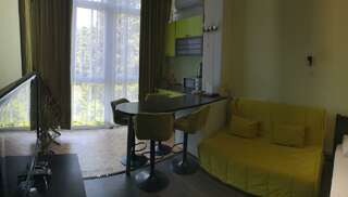 Гостиница Joy Apartments Сочи Апартаменты студия-3